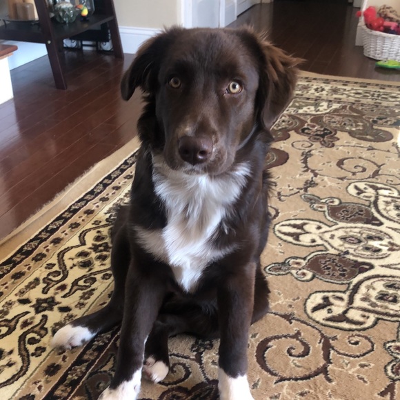 Meet your Posher, Cristina - Picture 1 of 1